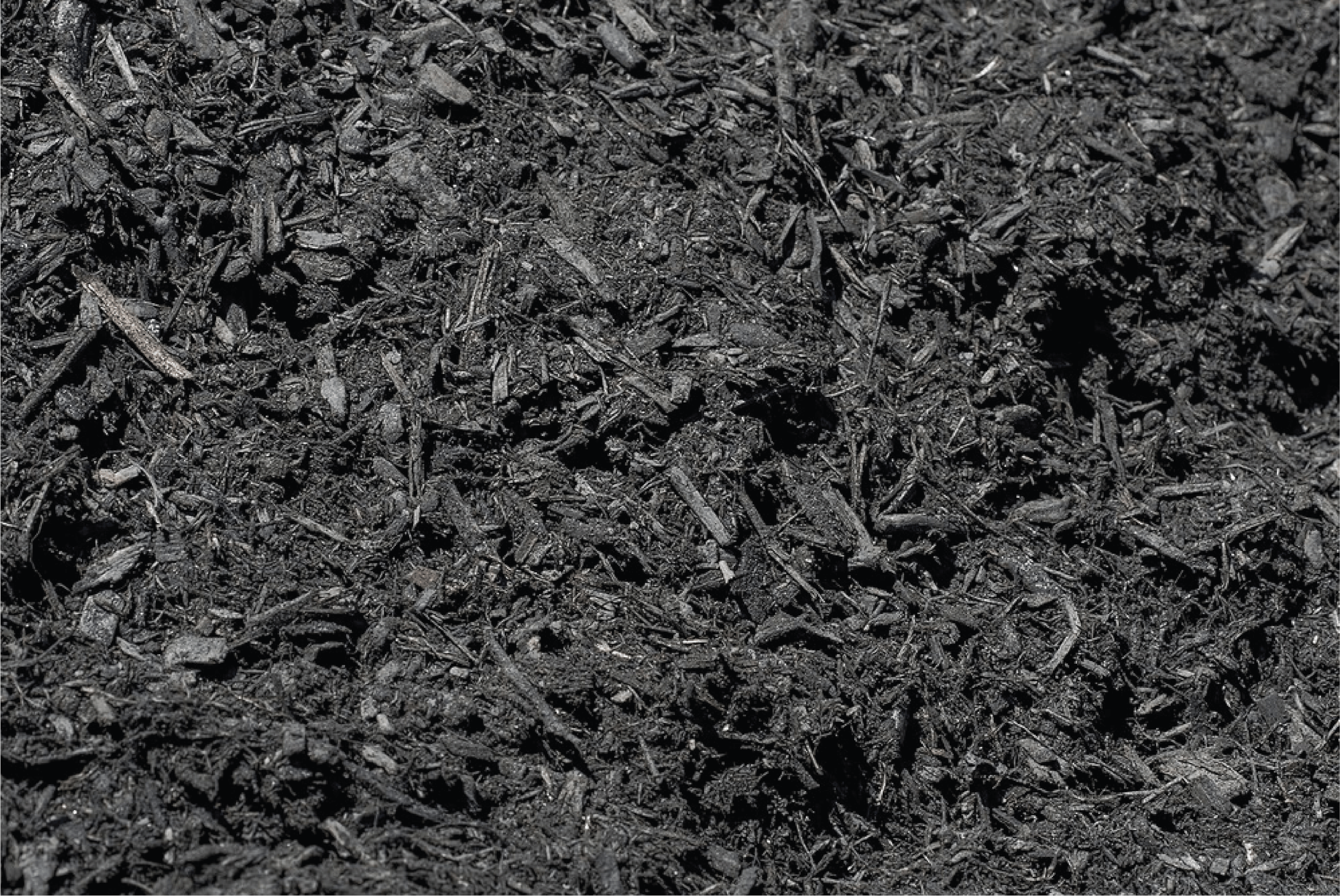 Balck Mulch
