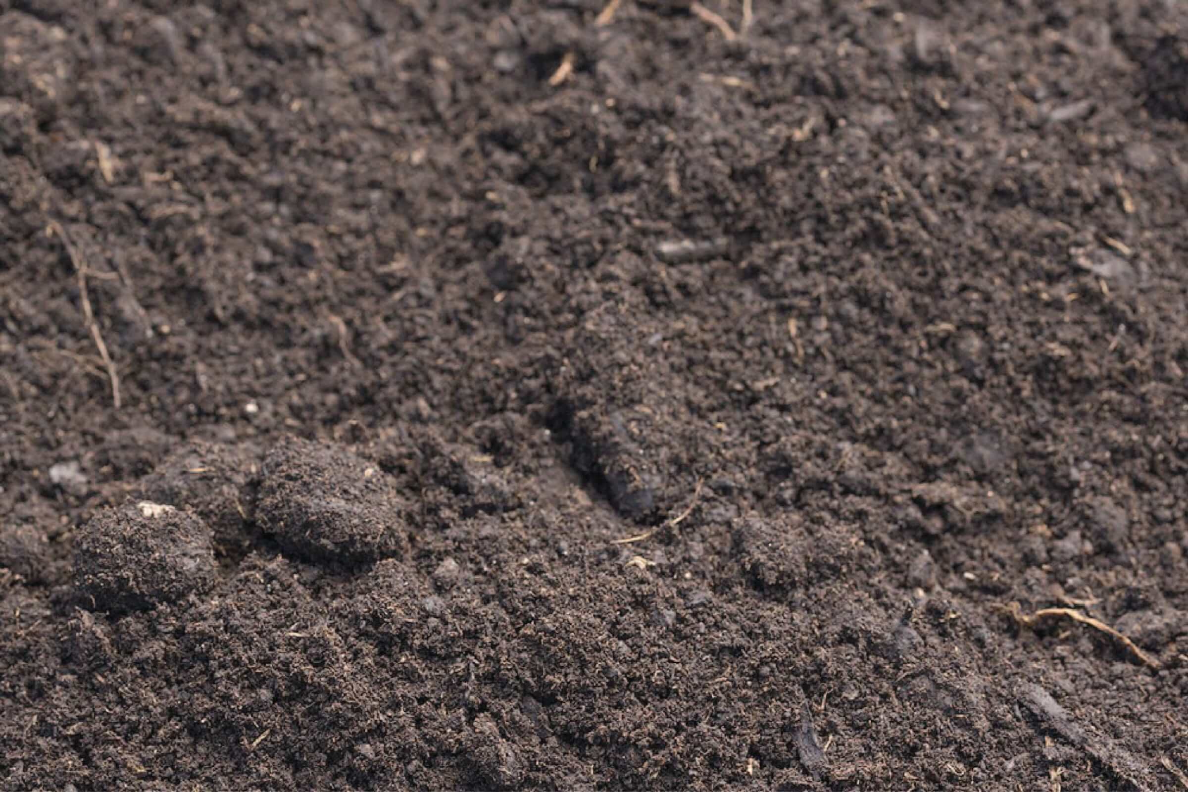 Topsoil 2